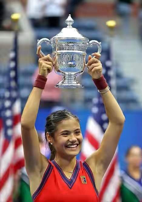 专业裁判的 专业裁判的